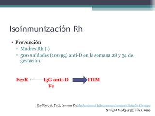 Isoinmunización Rh Prevención Madres Rh (-) 500 unidades (100   g) anti-D en la semana 28 y 34 de gestación. Fc γ R  IgG anti-D  ITIM Fc Spellberg B, Yu Z, Lennon VA   Mechanism of Intravenous Immune Globulin Therapy N Engl J Med 341:57, July 1, 1999 