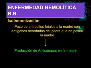 ENFERMEDAD HEMOLÍTICA R.N. Isoinmunización Paso de eritrocitos fetales a la madre con antígenos heredados del padre que no posee la madre Producción de Anticuerpos en la madre 