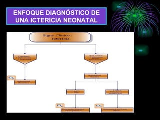 ENFOQUE DIAGNÓSTICO DE UNA ICTERICIA NEONATAL 