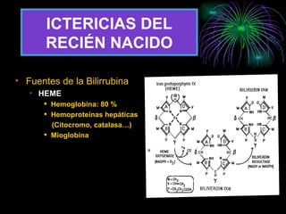 ICTERICIAS DEL RECIÉN NACIDO Fuentes de la Bilirrubina HEME Hemoglobina: 80 % Hemoproteínas hepáticas (Citocromo, catalasa…) Mioglobina 