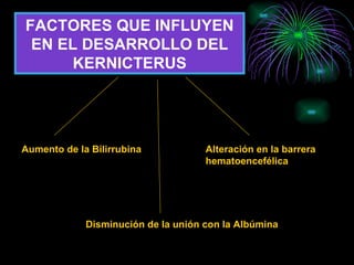 FACTORES QUE INFLUYEN EN EL DESARROLLO DEL KERNICTERUS Aumento de la Bilirrubina Disminución de la unión con la Albúmina Alteración en la barrera  hematoencefélica 