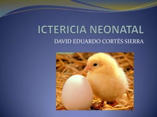 ICTERICIA NEONATAL DAVID EDUARDO CORTÉS SIERRA 