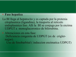 Fase hepatica La BI llega al hepatocito y es captada por la protenia citoplasmica (ligandina), la trasporta al reticulo endoplasmico liso. Alli la  BI se conjuga por la enzima UDPGT a  monoglucoronico de bilirrubina. Alteraciones en esta fase:  Deficiencia congenita de UDPGT (sx de  crigler-najjar).  Uso de fenobarbital ( induccion enzimatica UDPGT) 