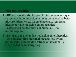 Fase posthepatica La BD no es reabsorbible  por el intestinoa menos que se revierta la conjugacion  atraves de la enzima beta-glucoronidasa  ya existe en el neonato, regresa al higado por la circulacion enterohepatica.  La presencia de bacterias conbierte la BD a urubilinogeno.  Situaciones que alteran la circulacion enterohepatica:  Ileo hipoxico, ileo meconial metabolico, ayuno porlongado, proceso de obstroccion intestinal  y enfermedad de hirschsprung. 