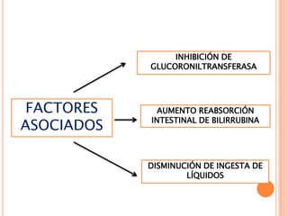 INHIBICIÓN DE
GLUCORONILTRANSFERASA

FACTORES
ASOCIADOS

AUMENTO REABSORCIÓN
INTESTINAL DE BILIRRUBINA

DISMINUCIÓN DE INGESTA DE
LÍQUIDOS

 