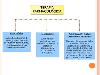 TERAPIA
FARMACOLÓGICA

Mesoporfirina:

Fenobarbital:

Inhibe el catabolismo del
hemo, y por lo tanto, la
producción de bilirrubina,
disminuyendo así sus
niveles plasmáticos.

Es un inductor
enzimático, que
estimula las etapas de
captación,
conjugación y
excreción de la
bilirrubina.

Administración Oral de
sustancias No absorbibles:

Al captar bilirrubina en la luz
intestinal, reducen la
absorción enteral de ésta y,
así se puede disminuir los
niveles de bilirrubina sérica.
Deben ser administrados en
las primeras 24 hs de vida.
Agar, Carbón, Colestiramina.

 