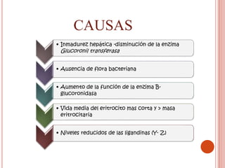 CAUSAS
• Inmadurez hepática -disminución de la enzima
Glucoronil transferasa
• Ausencia de flora bacteriana
• Aumento de la función de la enzima B-
glucoronidasa
• Vida media del eritrocito mas corta y > masa
eritrocitaria
• Niveles reducidos de las ligandinas (Y- Z)
 