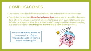• Los valores elevados de bilirrubina indirecta son potencialmente neurotóxicos.
• Cuando la cantidad de bilirrubina indirecta libre sobrepasa la capacidad de unión
de la albúmina y cruza la barrera hematoencefálica, o bien, cuando la barrera está
dañada, complejos de bilirrubina unida a la albúmina pasan libremente al cerebro,
pudiendo desarrollar encefalopatía bilirrubínica o kernícterus (crónica).
Si bien la bilirrubina directa no
es neurotóxica, refleja un
trastorno hepático o sistémico
potencialmente grave.
COMPLICACIONES
 