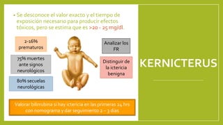 KERNICTERUS
• Se desconoce el valor exacto y el tiempo de
exposición necesario para producir efectos
tóxicos, pero se estima que es >20 - 25 mg/dl.
2-16%
prematuros
75% muertes
ante signos
neurológicos
80% secuelas
neurológicas
Distinguir de
la ictericia
benigna
Analizar los
FR
Valorar bilirrubina si hay ictericia en las primeras 24 hrs
con nomograma y dar seguimiento 2 – 3 días
 