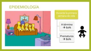 EPIDEMIOLOGÍA
Durante la primera
semana de vida
A término
 60%
Prematuros
 80%
 