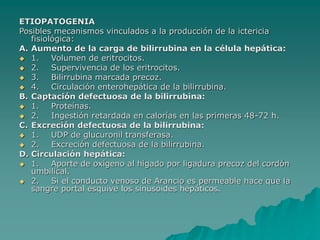 ETIOPATOGENIA
Posibles mecanismos vinculados a la producción de la ictericia
fisiológica:
A. Aumento de la carga de bilirrubina en la célula hepática:
 1. Volumen de eritrocitos.
 2. Supervivencia de los eritrocitos.
 3. Bilirrubina marcada precoz.
 4. Circulación enterohepática de la bilirrubina.
B. Captación defectuosa de la bilirrubina:
 1. Proteínas.
 2. Ingestión retardada en calorías en las primeras 48-72 h.
C. Excreción defectuosa de la bilirrubina:
 1. UDP de glucuronil transferasa.
 2. Excreción defectuosa de la bilirrubina.
D. Circulación hepática:
 1. Aporte de oxígeno al hígado por ligadura precoz del cordón
umbilical.
 2. Si el conducto venoso de Arancio es permeable hace que la
sangre portal esquive los sinusoides hepáticos.
 
