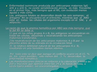  Enfermedad isoinmune producida por anticuerpos maternos IgG
anti a y anti b; no existe sensibilización previa, es más frecuente
en el primer hijo, más benigno que el Rh, con evolución menos
aguda y más corta.
 Los antígenos fetales se desarrollan desde las seis semanas; el
antígeno Rh se encuentra en el eritrocito, mientras que el ABO
está en todas las células del organismo excepto en el SNC y el
adipocito.
La razón de que la anemia hemolítica por ABO sea más benigna que
la del Rh se debe a:
1) que en los niños grupos A o B, los antígenos se encuentran en
todas las células, diluyendo y neutralizando los anticuerpos
maternos transferidos.
2)la neutralización de los anticuerpos maternos A o B por la
placenta antes de su entrada en la circulación fetal.
3) la relativa debilidad natural de los anticuerpos A o B,
resultando en una hemólisis menos intensa.
Por todo esto se dice que aunque el conflicto ocurre en el 15 %
de los casos posibles, sólo menos del 3 % desarrollan la
enfermedad hemolítica.
 Las manifestaciones clínicas se reducen a la coloración ictérica de
piel y mucosas que aparece entre las 24 y 36 horas de vida, a
veces ligera palidez, sin visceromegalias.
 