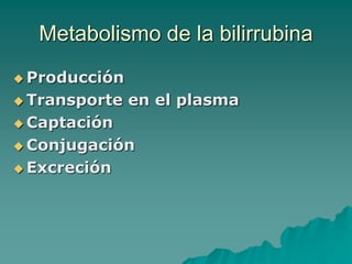Metabolismo de la bilirrubina
 Producción
 Transporte en el plasma
 Captación
 Conjugación
 Excreción
 