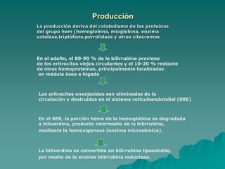 Producción
La producción deriva del catabolismo de las proteínas
del grupo hem (hemoglobina, mioglobina, enzima
catalasa,triptófeno,perrolidasa y otros citocromos
En el adulto, el 80-90 % de la bilirrubina proviene
de los eritrocitos viejos circulantes y el 10-20 % restante
de otras hemoproteínas, principalmente localizadas
en médula ósea e hígado
Los eritrocitos envejecidos son eliminados de la
circulación y destruidos en el sistema reticuloendotelial (SRE)
En el SER, la porción hemo de la hemoglobina es degradada
a biliverdina, producto intermedio de la bilirrubina,
mediante la hemoxigenasa (enzima microsómica).
La biliverdina es convertida en bilirrubina liposoluble,
por medio de la enzima bilirrubina reductasa.
 