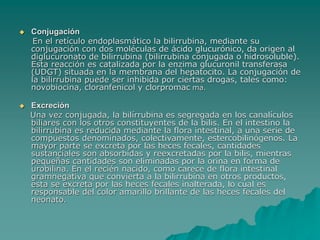  Conjugación
En el retículo endoplasmático la bilirrubina, mediante su
conjugación con dos moléculas de ácido glucurónico, da origen al
diglucuronato de bilirrubina (bilirrubina conjugada o hidrosoluble).
Esta reacción es catalizada por la enzima glucuronil transferasa
(UDGT) situada en la membrana del hepatocito. La conjugación de
la bilirrubina puede ser inhibida por ciertas drogas, tales como:
novobiocina, cloranfenicol y clorpromac ma.
 Excreción
Una vez conjugada, la bilírrubina es segregada en los canalículos
biliares con los otros constituyentes de la bilis. En el intestino la
bilirrubina es reducida mediante la flora intestinal, a una serie de
compuestos denominados, colectivamente, estercobilinógenos. La
mayor parte se excreta por las heces fecales, cantidades
sustanciales son absorbidas y reexcretadas por la bilis, mientras
pequeñas cantidades son eliminadas por la orina en forma de
urobilina. En el recién nacido, como carece de flora intestinal
gramnegativa que convierta a la bilirrubína en otros productos,
esta se excreta por las heces fecales inalterada, lo cual es
responsable del color amarillo brillante de las heces fecales del
neonato.
 