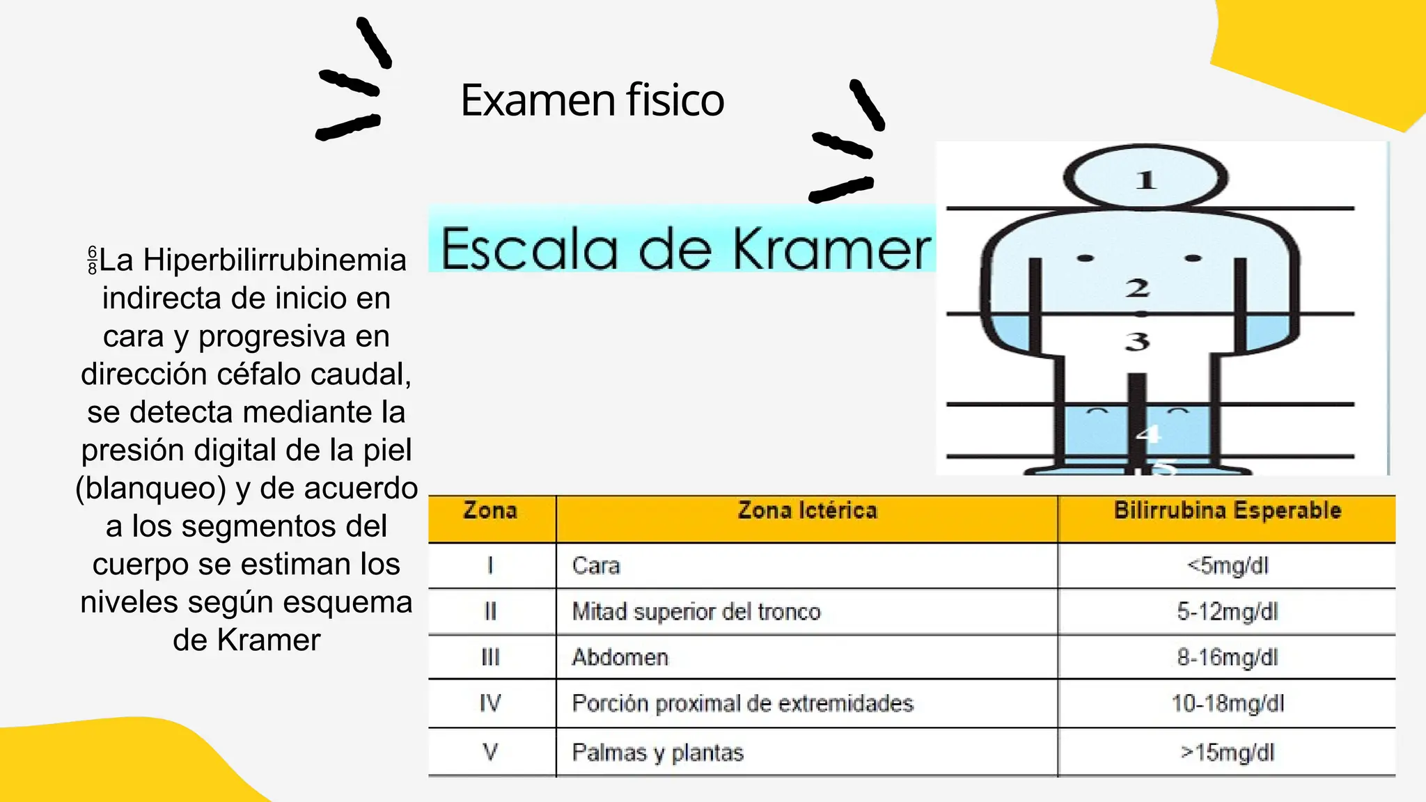 Kramer Test Ictericia neonatal zonas de kramer para la ictericia | PPTX