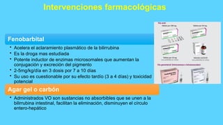 Intervenciones farmacológicas
Fenobarbital
• Acelera el aclaramiento plasmático de la bilirrubina
• Es la droga mas estudiada
• Potente inductor de enzimas microsomales que aumentan la
conjugación y excreción del pigmento
• 2-5mg/kg/día en 3 dosis por 7 a 10 días
• Su uso es cuestionable por su efecto tardío (3 a 4 días) y toxicidad
potencial
Agar gel o carbón
• Administrados VO son sustancias no absorbibles que se unen a la
bilirrubina intestinal, facilitan la eliminación, disminuyen el círculo
entero-hepático
 