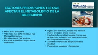 FACTORES PREDISPONENTES QUE
AFECTAN EL METABOLISMO DE LA
BILIRRUBINA
• Ingesta oral disminuida, escasa flora intestinal
(mayor circulación entero-hepática)
• Insuficiente funcionalidad hepática (menos nivel
de ligandinas en hepatocitos, sistema enzimático
de conjugación insuficiente)
• Actividad aumentada de Betaglucuronidasa
intestinal
• Presencia de sangrados y hematomas
• Mayor masa eritrocitaria
• Vida media mas corta del glóbulo rojo
• Menos pH sanguíneo
• Hipoalbuminemia (pre términos)
• Eritrocitos envejecidos, en proceso de
destrucción
 