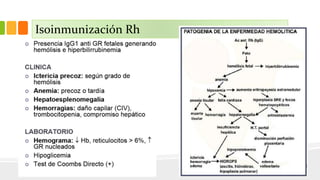 Isoinmunización Rh 
 