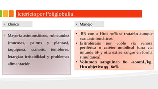 Ictericia por Poliglobulia 
• Clínica • Manejo 
• Mayoría asintomáticos, rubicundez 
(mucosas, palmas y plantas), 
taquipnea, cianosis, temblores, 
letargiao irritabilidad y problemas 
alimentación. 
• RN con 2 Hto> 70% se tratarán aunque 
sean asintomáticos. 
• Eritroféresis por doble vía venosa 
periférica o catéter umbilical (una vía 
infunde SF y otra extrae sangre en forma 
simultánea). 
• Volumen sanguíneo 80 –100mL/kg. 
Hto objetivo 55 –60%. 
 