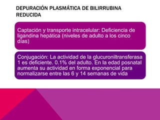 DEPURACIÓN PLASMÁTICA DE BILIRRUBINA
REDUCIDA
Captación y transporte intracelular: Deficiencia de
ligandina hepática (niveles de adulto a los cinco
días)
Conjugación: La actividad de la glucuroniltransferasa
1 es deficiente. 0.1% del adulto. En la edad posnatal
aumenta su actividad en forma exponencial para
normalizarse entre las 6 y 14 semanas de vida
 
