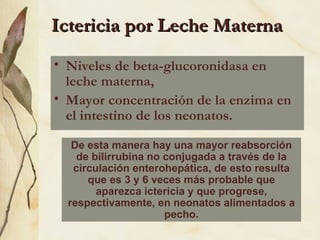Ictericia por Leche Materna Niveles de beta-glucoronidasa en leche materna,  Mayor concentración de la enzima en el intestino de los neonatos.  De esta manera hay una mayor reabsorción de bilirrubina no conjugada a través de la circulación enterohepática, de esto resulta que es 3 y 6 veces más probable que aparezca ictericia y que progrese, respectivamente, en neonatos alimentados a pecho. 