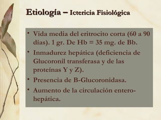 Etiología –  Ictericia Fisiológica Vida media del eritrocito corta (60 a 90 días). 1 gr. De Hb = 35 mg. de Bb. Inmadurez hepática (deficiencia de Glucoronil transferasa y de las proteínas Y y Z). Presencia de B-Glucoronidasa. Aumento de la circulación entero-hepática. 
