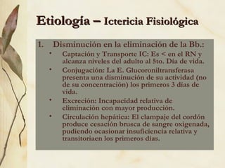 Etiología –  Ictericia Fisiológica Disminución en la eliminación de la Bb.: Captación y Transporte IC: Es < en el RN y alcanza niveles del adulto al 5to. Día de vida. Conjugación: La E. Glucoroniltransferasa presenta una disminución de su actividad (no de su concentración) los primeros 3 días de vida. Excreción: Incapacidad relativa de eliminación con mayor producción. Circulación hepática: El clampaje del cordón produce cesación brusca de sangre oxigenada, pudiendo ocasionar insuficiencia relativa y transitoriaen los primeros días.  