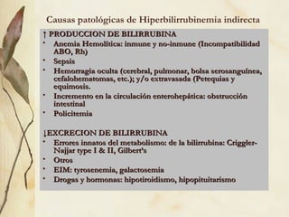 Causas patológicas de Hiperbilirrubinemia indirecta ↑  PRODUCCION DE BILIRRUBINA Anemia Hemolítica: inmune y no-inmune (Incompatibilidad ABO, Rh) Sepsis Hemorragia oculta (cerebral, pulmonar, bolsa serosanguínea,  cefalohematomas, etc.); y/o extravasada (Petequias y equimosis. Incremento en la circulación enterohepática: obstrucción intestinal Policitemia ↓ EXCRECION DE BILIRRUBINA Errores innatos del metabolismo: de la bilirrubina: Criggler-Najjar type I & II, Gilbert’s Otros EIM: tyrosenemia, galactosemia Drogas y hormonas: hipotiroidismo, hipopituitarismo 