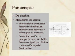 Fototerapia: De elección. Mecanismo de acción: Fotooxidación: destrucción física de la bilirrubina en productos más pequeños y polares para su excreción. Fotoisoimerización: vía principal de excreción, la Bb. Permanece igual, pero distinta conformación especial (lumirrubina) 