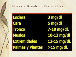 Niveles de Bilirrubina y Examen clínico
 