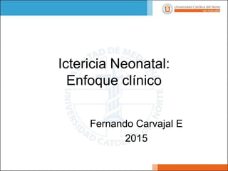 Ictericia Neonatal:
Enfoque clínico
Fernando Carvajal E
2015
 
