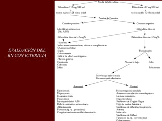 EVALUACIÓN DEL
RN CON ICTERICIA
 