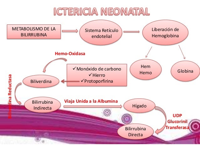 como acelerar el metabolismo para adelgazar mayores problemas