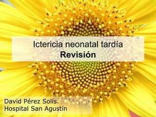 Ictericia neonatal tardía
                 Revisión




David Pérez Solís.
Hospital San Agustín
 