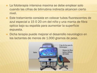  La fototerapia intensiva maxima se debe emplear solo
cuando las cifras de bilirrubina indirecta alcancen cierto
nivel.
 Este tratamiento consiste en colocar tubos fluorescentes de
azul especial a 15 0 20 cm del niño y una manta de fibra
optica bajo su espalda para aumentar la superficie
expuesta.
 Dicha terapia puede mejorar el desarrollo neurologico en
los lactantes de menos de 1.000 gramos de peso.
 