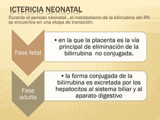 ICTERICIA NEONATAL
Durante el periodo neonatal , el metabolismo de la bilirrubina del RN
se encuentra en una etapa de transición:
Fase fetal
•en la que la placenta es la vía
principal de eliminación de la
bilirrubina no conjugada.
Fase
adulta
•la forma conjugada de la
bilirrubina es excretada por los
hepatocitos al sistema biliar y al
aparato digestivo
 