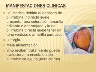 MANIFESTACIONES CLINICAS
 La ictericia debida al depósito de
bilirrubina indirecta suele
presentar una coloración amarilla
brillante o anaranjada y la de
bilirrubina directa suele tener un
tono verdoso o amarillo pardusco.
 Letargia.
 Mala alimentación.
 Sino reciben tratamiento puede
evolucionar a encefalopatía
bilirrubinica aguda (kernicterus)
 