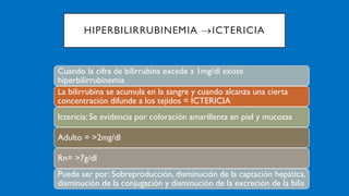 HIPERBILIRRUBINEMIA →ICTERICIA
Cuando la cifra de bilirrubina excede a 1mg/dl existe
hiperbilirrubinemia
La bilirrubina se acumula en la sangre y cuando alcanza una cierta
concentración difunde a los tejidos = ICTERICIA
Ictericia: Se evidencia por coloración amarillenta en piel y mucosas
Adulto = >2mg/dl
Rn= >7g/dl
Puede ser por: Sobreproducción, disminución de la captación hepática,
disminución de la conjugación y disminución de la excreción de la bilis
 