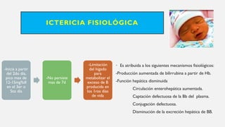 ICTERICIA FISIOLÓGICA
• Es atribuida a los siguientes mecanismos fisiológicos:
-Producción aumentada de bilirrubina a partir de Hb.
-Función hepática disminuida
Circulación enterohepática aumentada.
Captación defectuosa de la Bb del plasma.
Conjugación defectuosa.
Disminución de la excreción hepática de BB.
-Inicia a partir
del 2do día,
pico max de
12-15mg%dl
en el 3er o
5to día
-No persiste
mas de 7d
-Limitación
del hígado
para
metabolizar el
exceso de B
producida en
los 1ros días
de vida
 