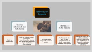 Ictericia por
lactancia
Ictericia
relacionada con
la lactancia
Más de la
primera sem
Se da por malas practicas y
mala ingesta
enteral=inanición relativa,
paso de meconio retardado=
mayor circulación
enterohepática
Ictericia por
leche materna
Inicio mas tardío,
después de la primera
semana
Por: Presencia de 3
alfa 20 beta
pregnandiol en la
leche materna que
inhibe la conjugación
Exceso de lipasa en la
LH, libera ácidos
grasos no saturados
que interfieren en la
captación hepática y
conjugación de la
bilirrubina
 
