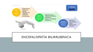 ENCEFALOPATÍA BILIRRUBÍNICA
 