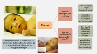 Desequilibrio entre la producción y la
eliminación de bilirrubina. Resultado de
la acumulación de bilirrubina no
conjugada. (>5mg/dl)
Causas
Ictericia
fisiológica 60%
2°-7° día
Lactancia materna:
15mg/dl
Formula: 12.9mg/dl
Velocidad de
incremento:
>0.5mg/dl/h
No sintomatología
Ictericia
patológica 6%
Primeras 24 H
o > 7d
Bb >5mg/dl
DIARIOS y
sobrepase
limites de Ia
fisiológica
Velocidad de
incremento:
>0.5mg/dl/h
Sintomatología
 