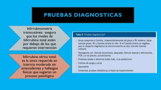 PRUEBAS DIAGNOSTICAS
bilirrubinometría
transcutánea: asegura
que los niveles de
bilirrubina total estén
por debajo de los que
requieren intervención
bilirrubina sérica total:
es la única requerida en
ictericia moderada sin
antecedentes y hallazgos
físicos que sugieran un
proceso patológico
 