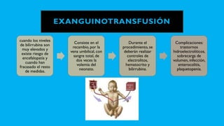 EXANGUINOTRANSFUSIÓN
cuando los niveles
de bilirrubina son
muy elevados y
existe riesgo de
encefalopatía y
cuando han
fracasado el resto
de medidas.
Consiste en el
recambio, por la
vena umbilical, con
sangre total, de
dos veces la
volemia del
neonato.
Durante el
procedimiento, se
deberán realizar
controles de
electrolitos,
hematocrito y
bilirrubina.
Complicaciones:
trastornos
hidroelectrolíticos,
sobrecarga de
volumen, infección,
enterocolitis,
plaquetopenia.
 