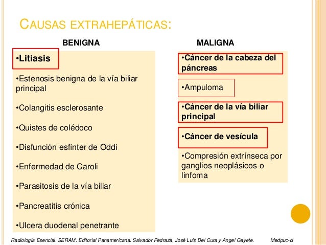prurito canino causas y tratamiento pdf
