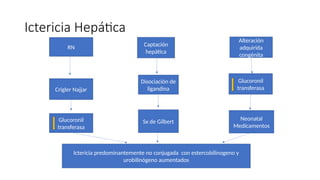 Ictericia Hepática
RN
Crigler Najjar
Glucoronil
transferasa
Ictericia predominantemente no conjugada con estercobilinogeno y
urobilinógeno aumentados
Captación
hepática
Disociación de
ligandina
Sx de Gilbert
Alteración
adquirida
congénita
Glucoronil
transferasa
Neonatal
Medicamentos
 