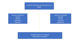 Excreción defectuosa de bilirrubina por el
hígado
Factores mecánicos
Cálculos
Quistes
Neoplasias
Estenosis
Factores funcionales
Hepatitis
Cirrosis
Colestasis
Septicemia
Hiperbilirrubinemia conjugada
Bilirrubinuria conjugada
 