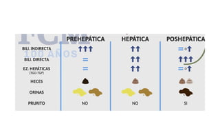 Ictericias (1).pptxfsadddddddddddddddddddddddddddd