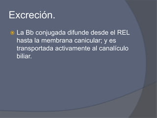 Excreción.
 La Bb conjugada difunde desde el REL
hasta la membrana canicular; y es
transportada activamente al canalículo
biliar.
 